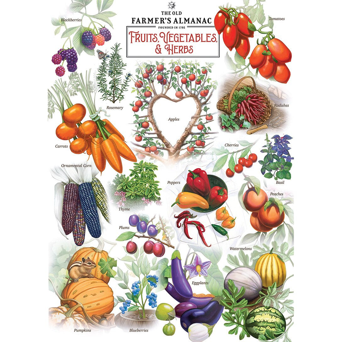 The Old Farmer’s Almanac – Fruits Vegetables & Herbs 1000pc Puzzle - Image 3