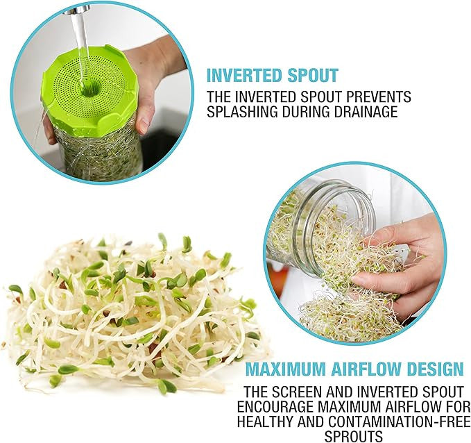 Mason Jar Sprouting Kit with Seeds - Image 4