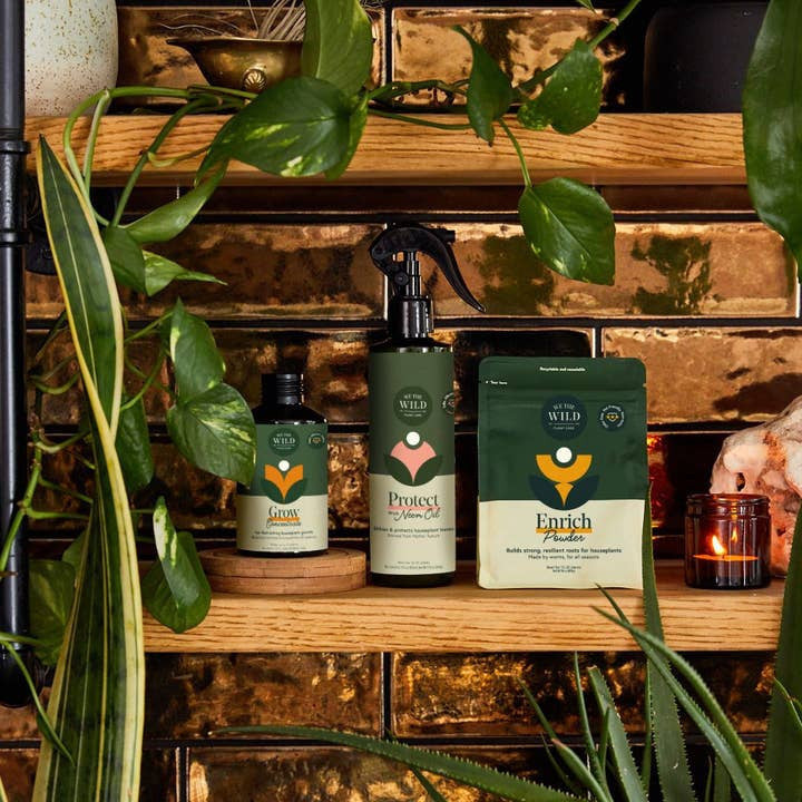 Houseplant Care Essentials Kit - Image 6