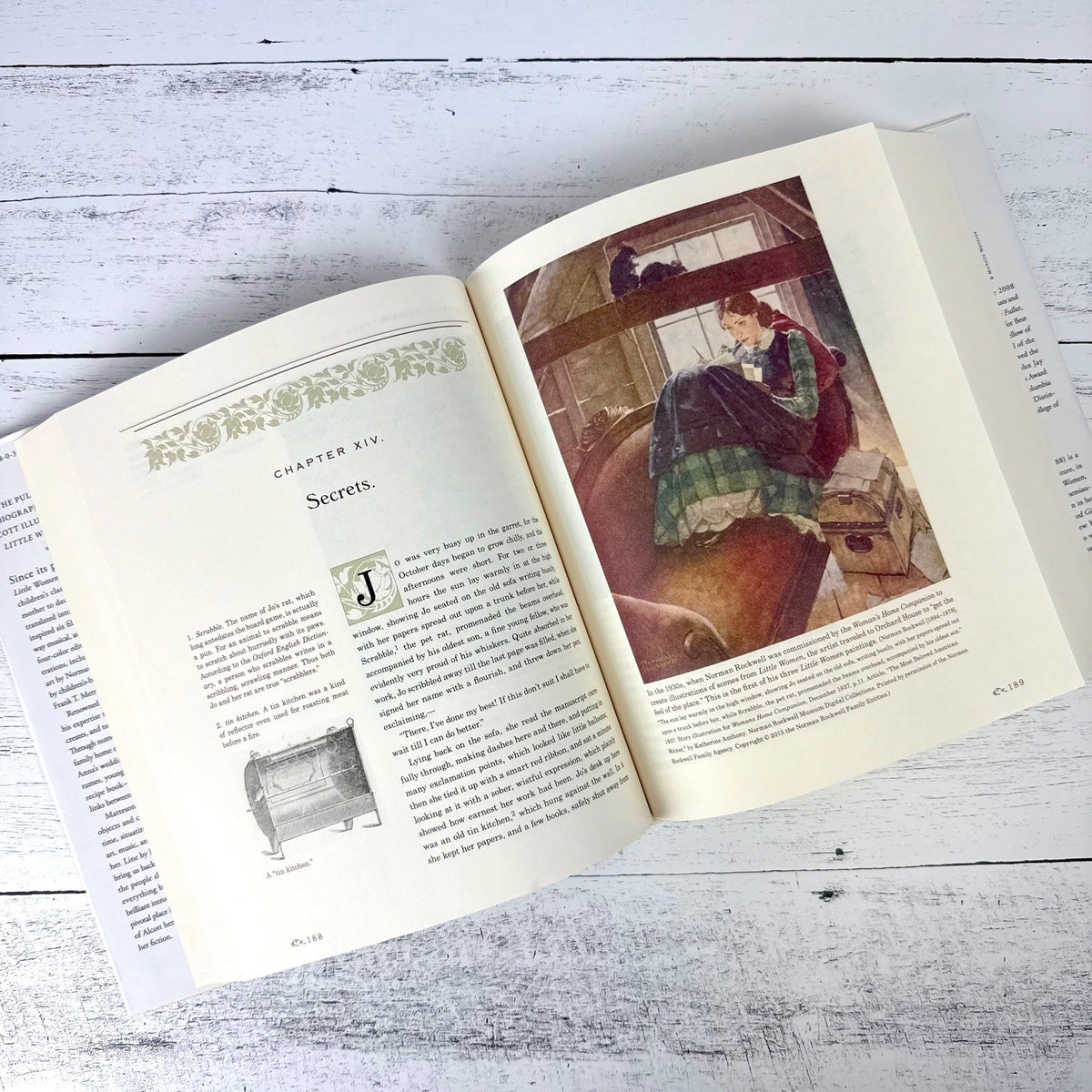 The Annotated Little Women - Image 2