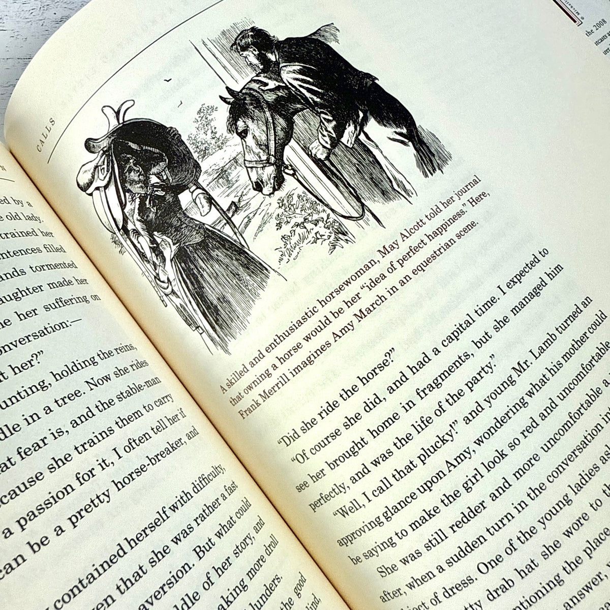 The Annotated Little Women - Image 5
