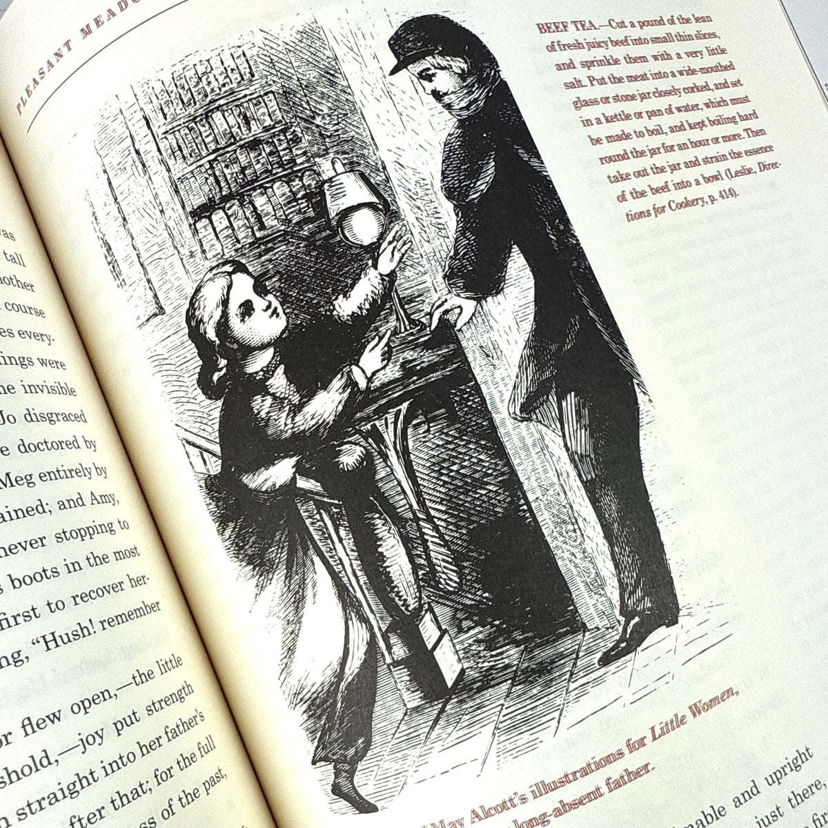 The Annotated Little Women - Image 7