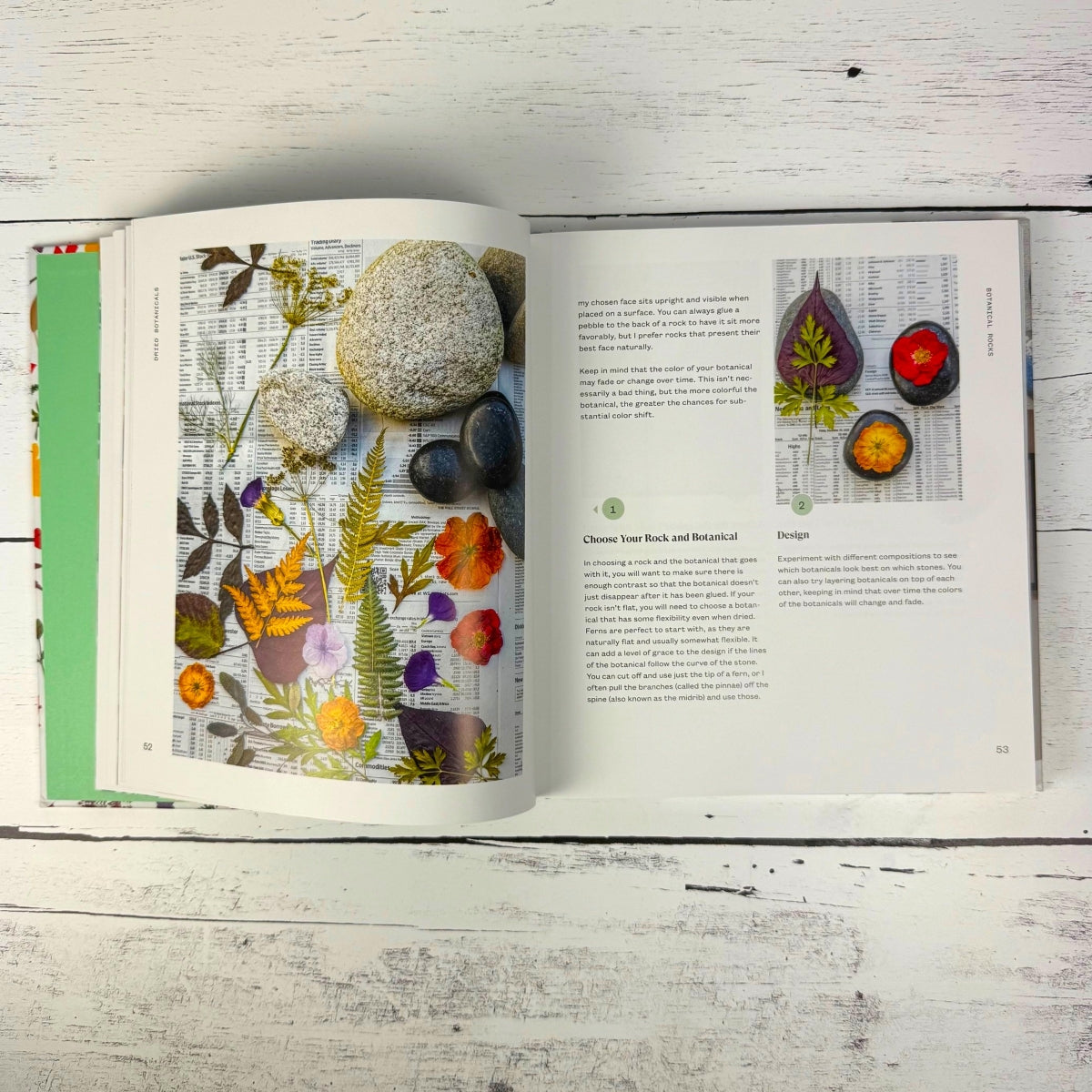 Art From the Garden - Image 4