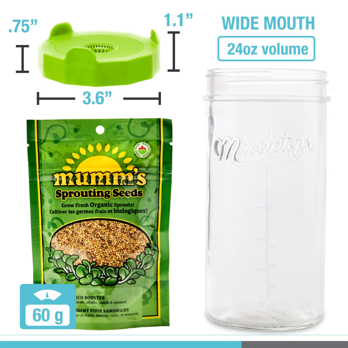 Mason Jar Sprouting Kit with Seeds - Image 2