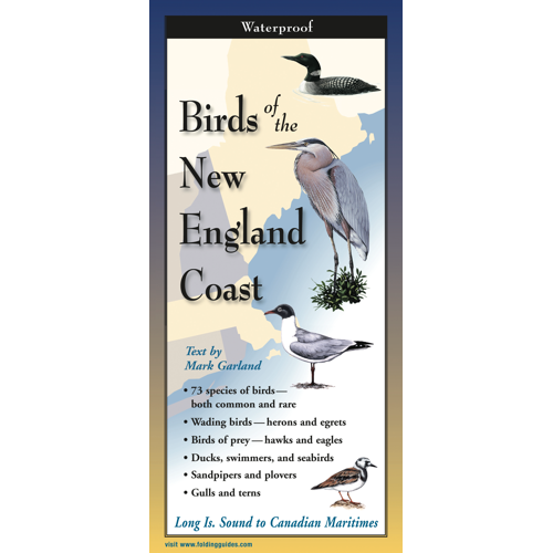 Birds of the New England Coast, Folding Guide