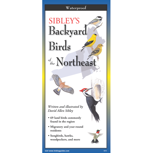 Sibleys Backyard Birds of the Northeast, Folding Guide