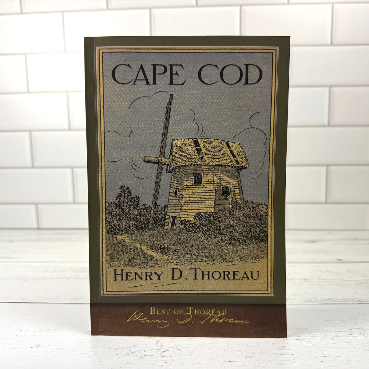 Cape Cod - Image 3
