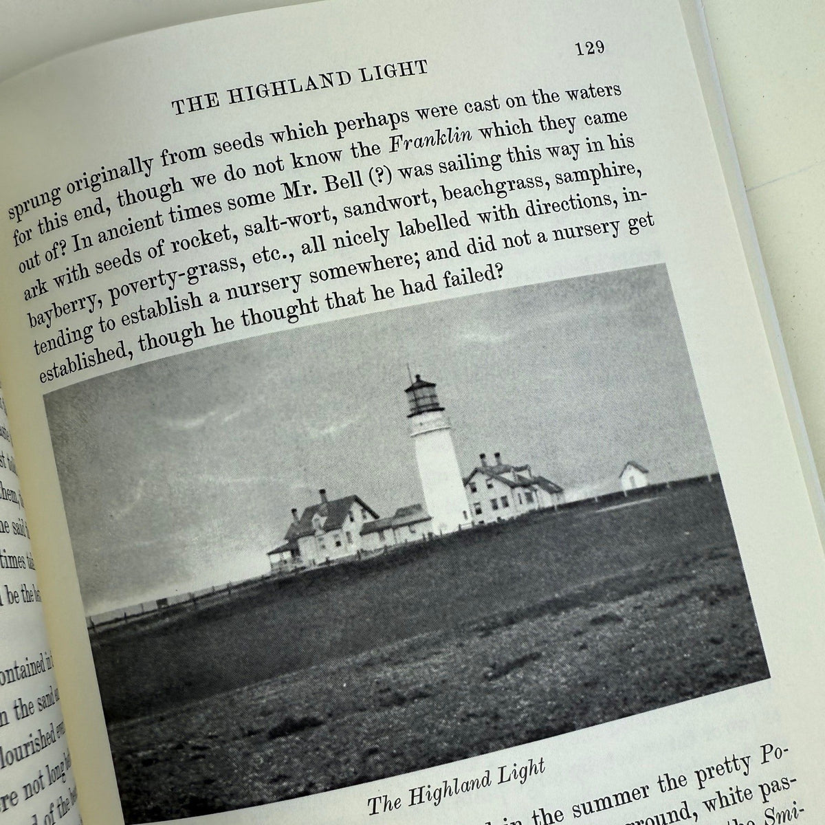 Cape Cod - Image 4