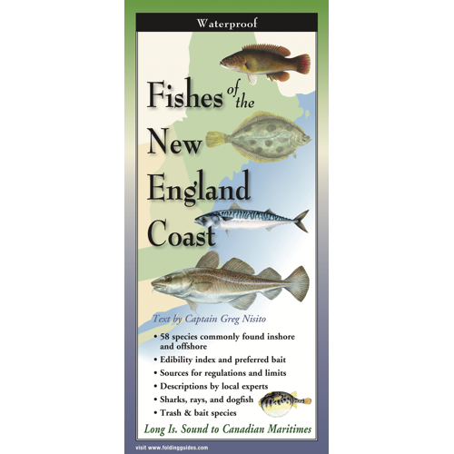 Fishes of the New England Coast, Folding Guide