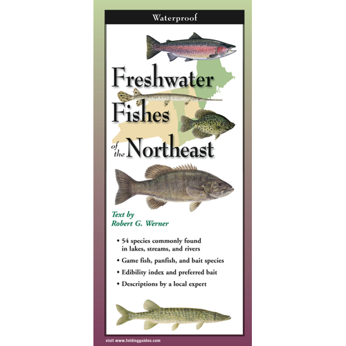 Freshwater Fishes of the Northeast, Folding Guide