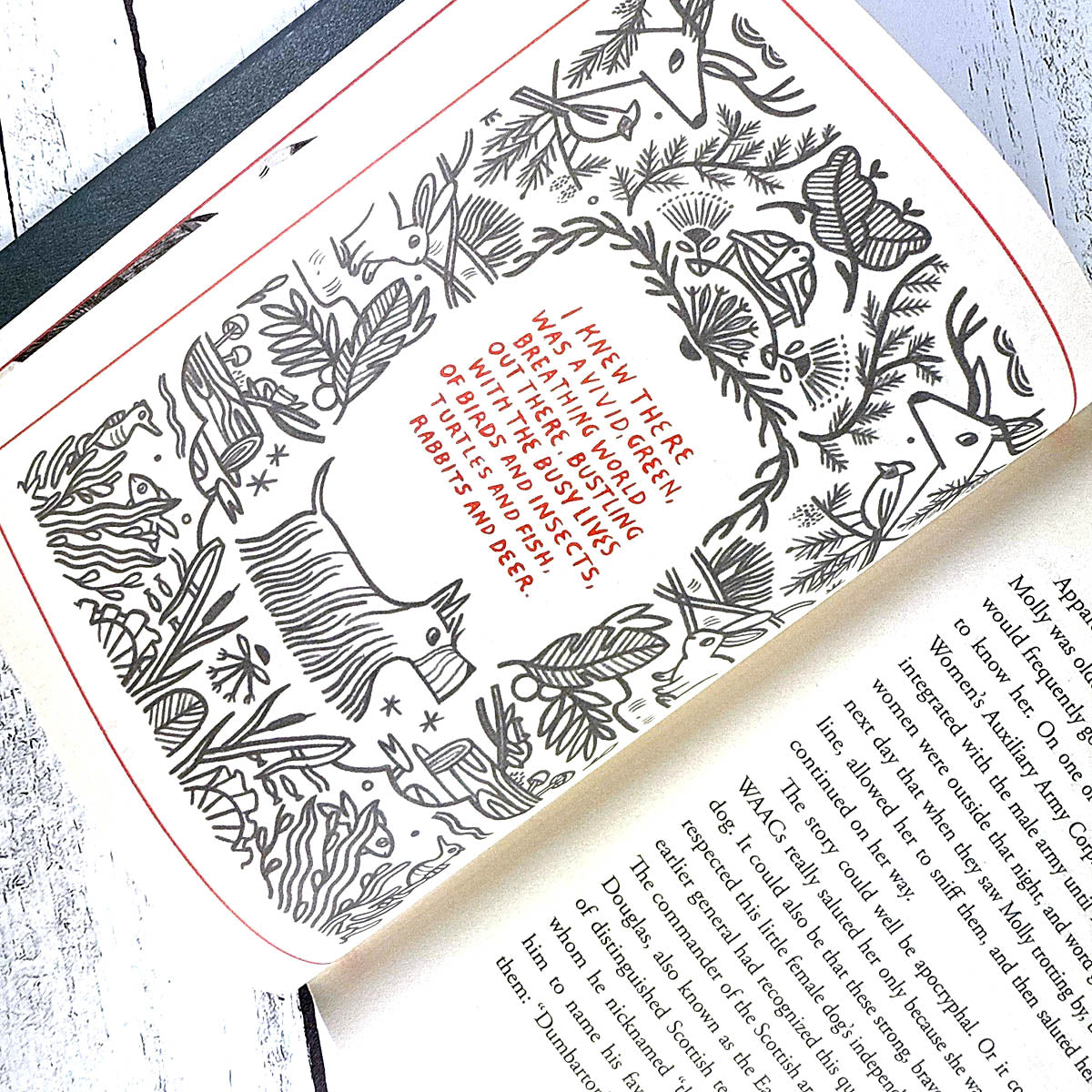 How to Be a Good Creature: A Memoir in Thirteen Animals - Image 4