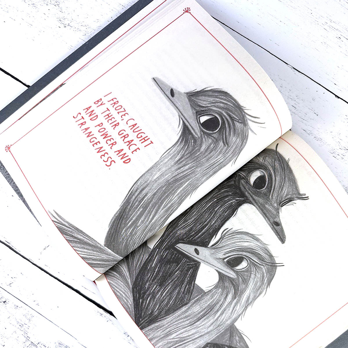 How to Be a Good Creature: A Memoir in Thirteen Animals - Image 5