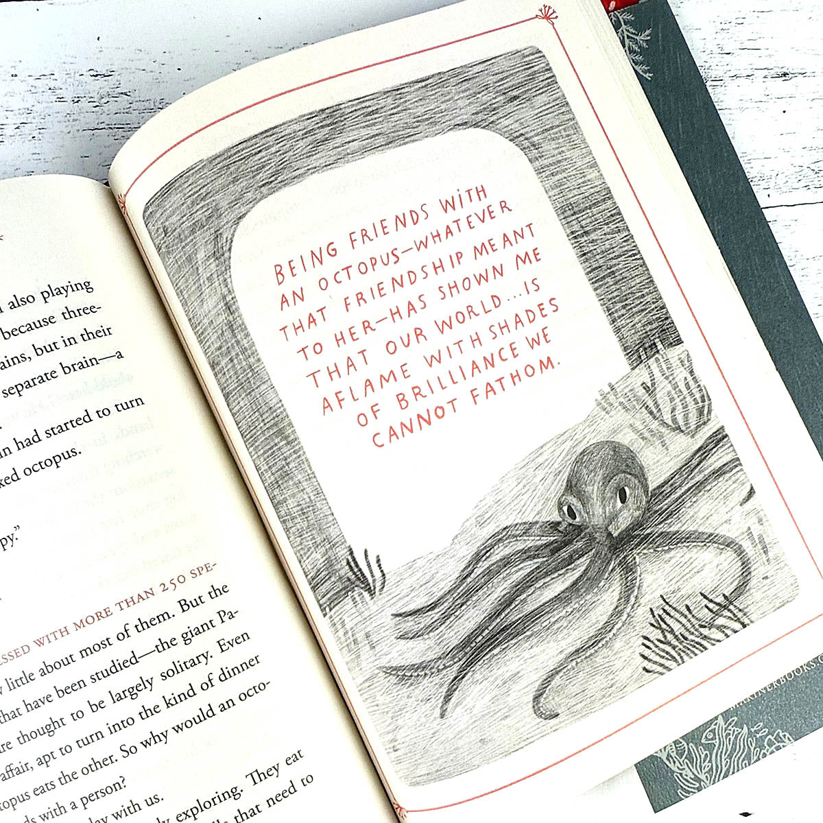 How to Be a Good Creature: A Memoir in Thirteen Animals - Image 6