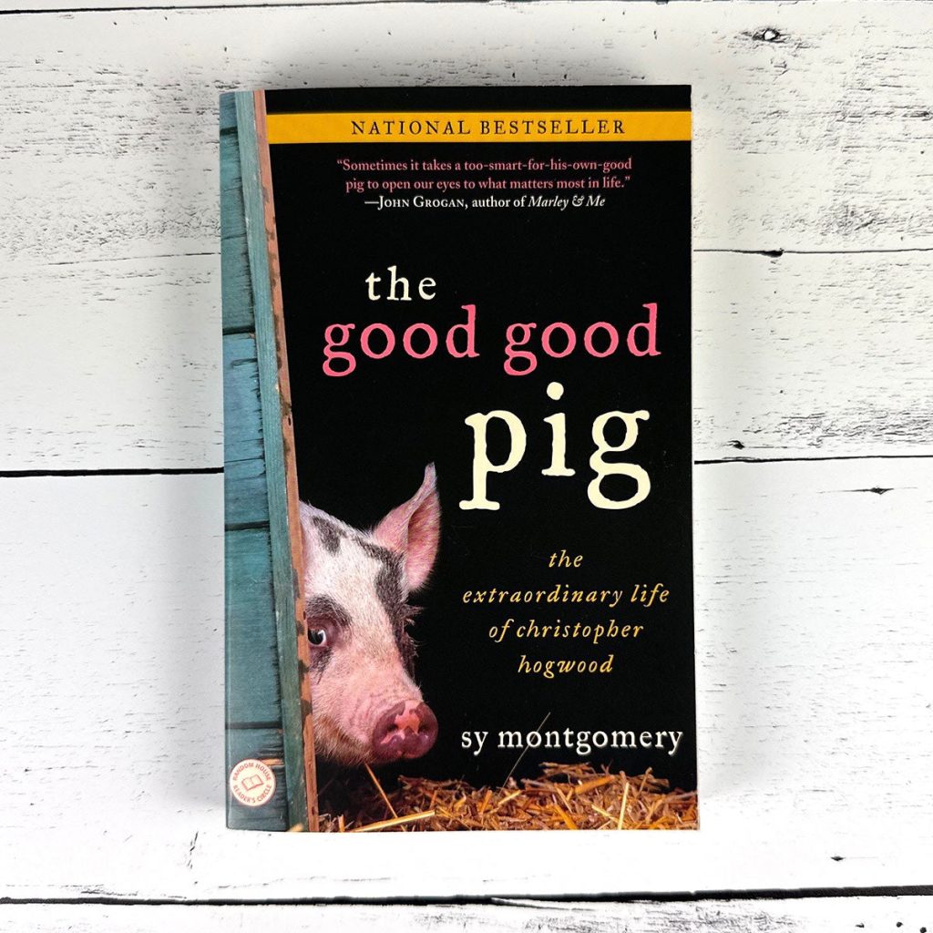 The Good Good Pig