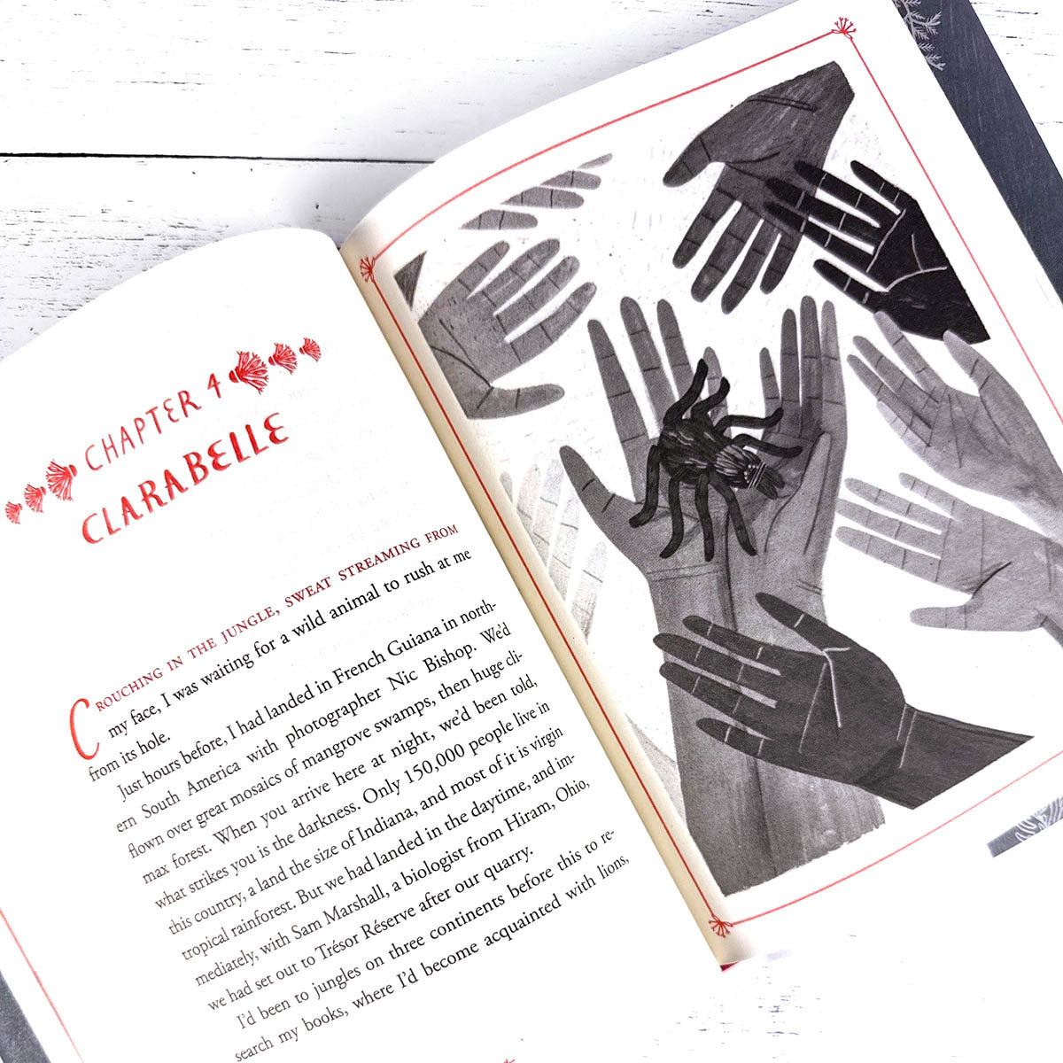 How to Be a Good Creature: A Memoir in Thirteen Animals - Image 10