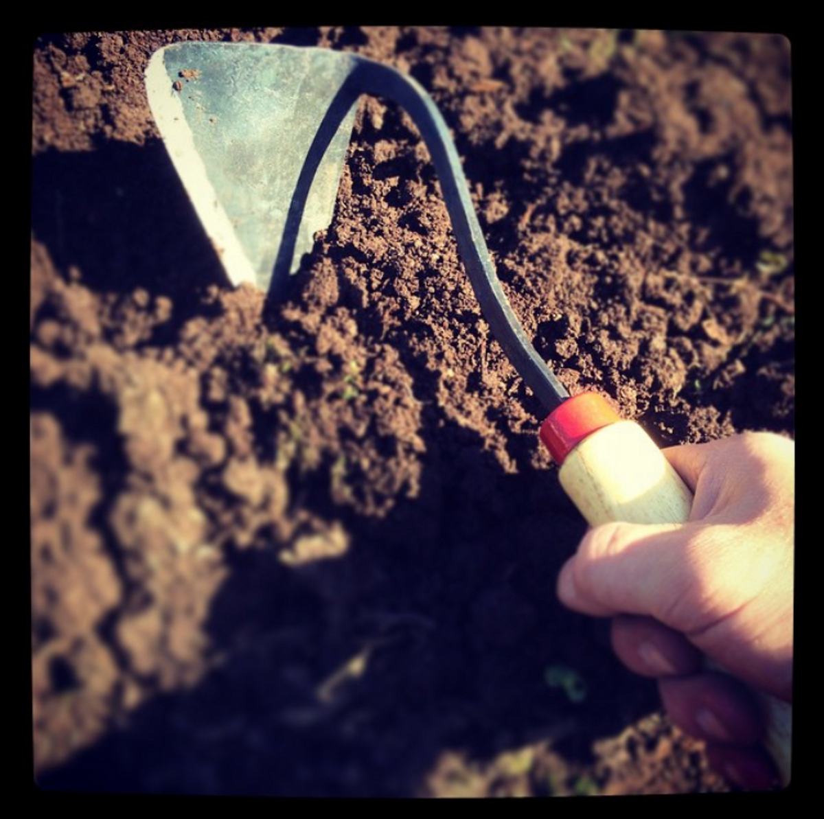 Handy Hoe - Image 3