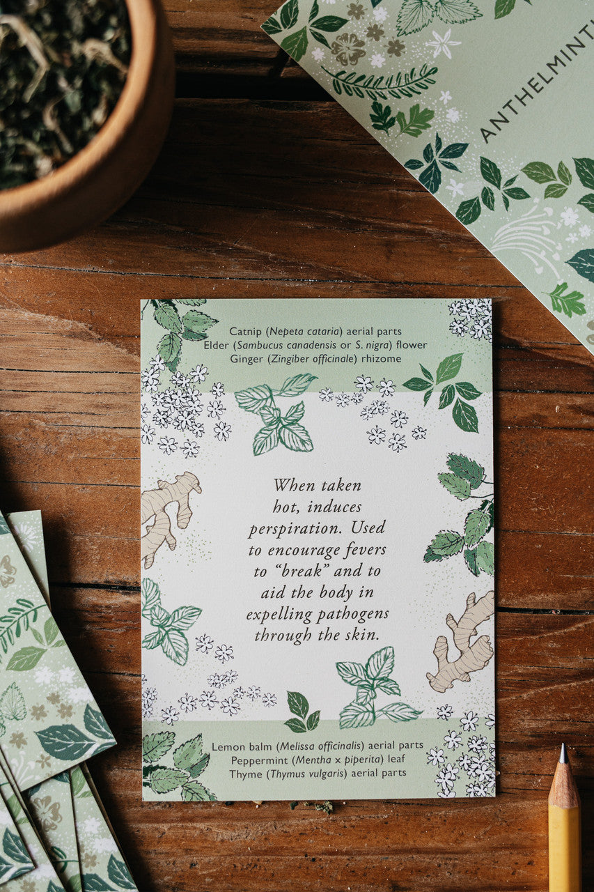 Herbal Actions Flashcards - Image 7