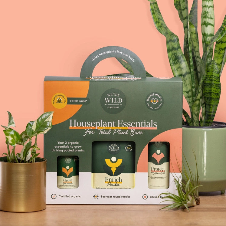 Houseplant Care Essentials Kit - Image 4