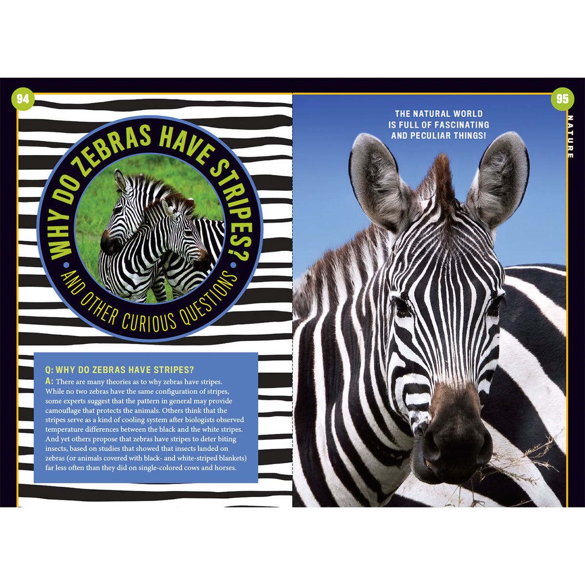 The Old Farmer’s Almanac for Kids Volume 11 - Image 12