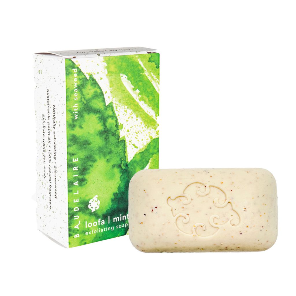 Mint Loofa Boxed 5oz Bath Soap