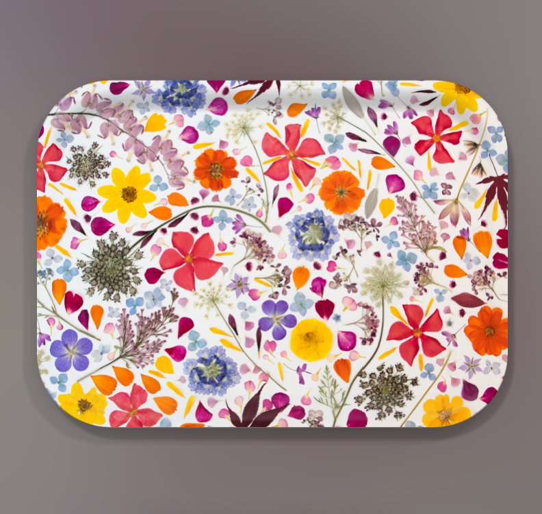 Mandevilla and Daucus – 11 x 8 Tray