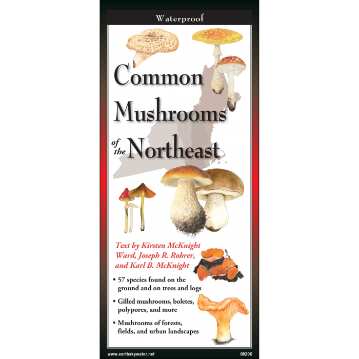 Common Mushrooms of the Northeast, Folding Guide