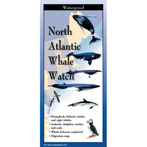 North Atlantic Whale Watch, Folding Guide