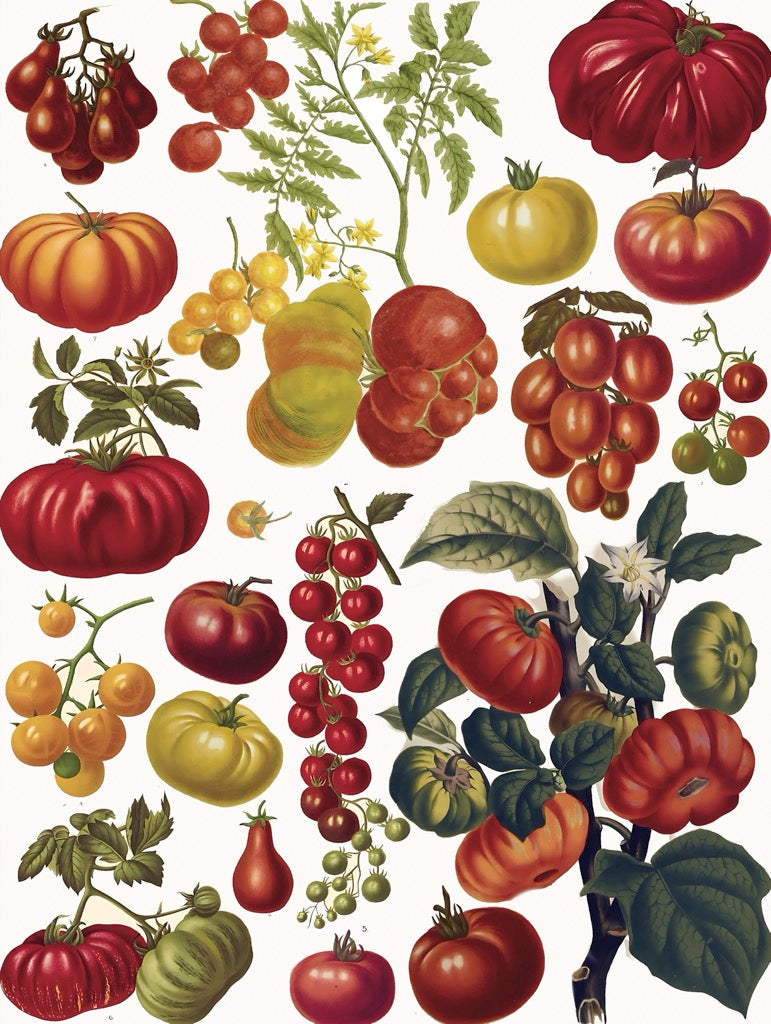 Tomatoes Jigsaw Puzzle 500 Piece - Image 2