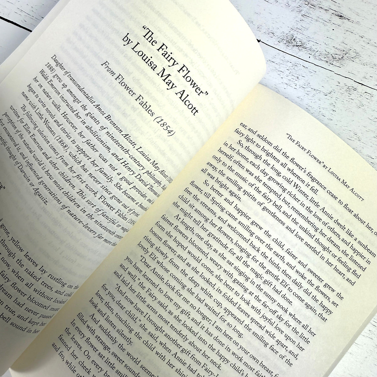 New England Nature: Centuries of Writing on the Wonder and Beauty of the Land - Image 2