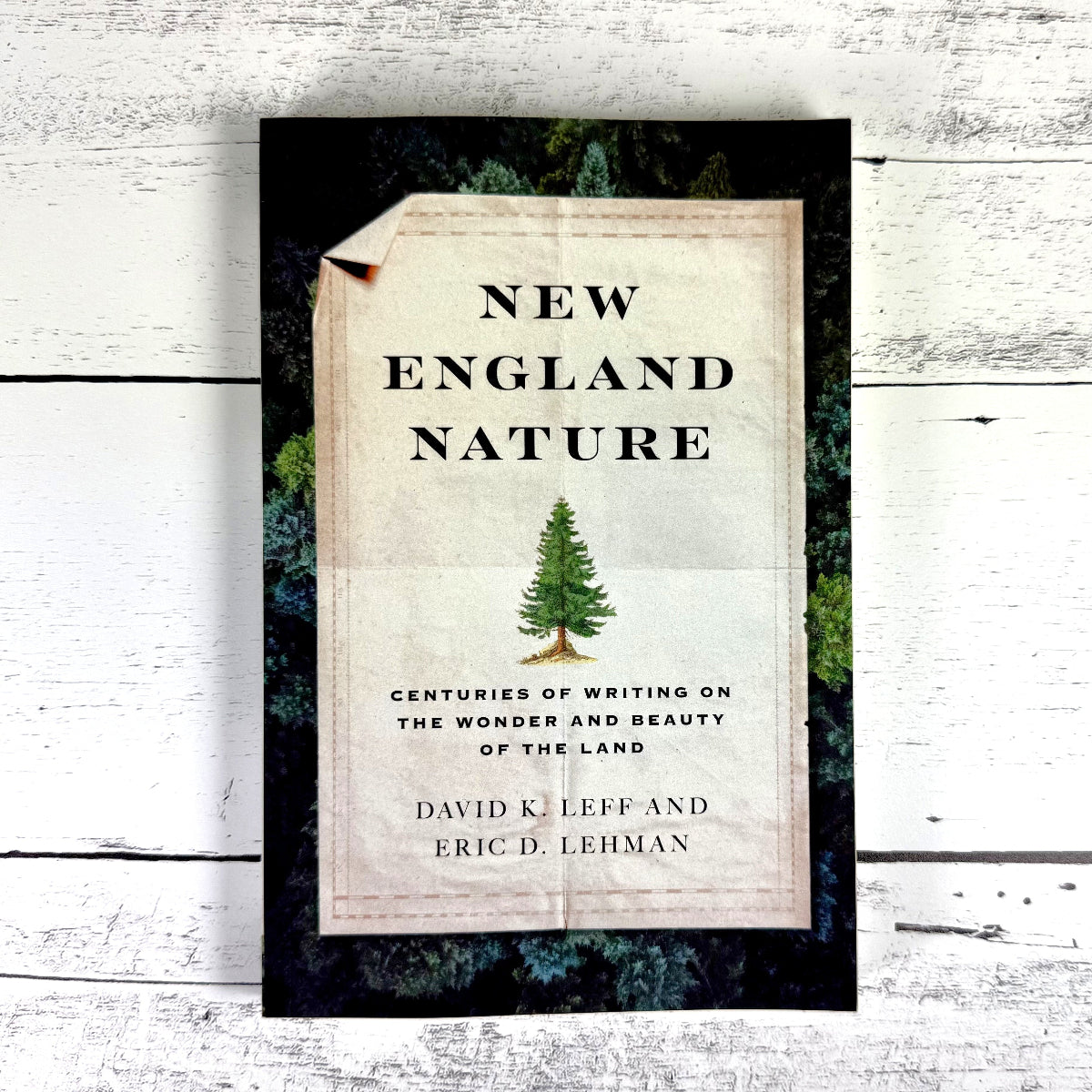 New England Nature: Centuries of Writing on the Wonder and Beauty of the Land - Image 7
