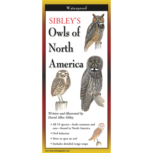 Sibleys Owls of North America, Folding Guide