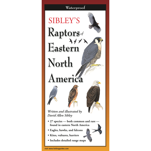 Sibleys Raptors of Eastern North America, Folding Guide