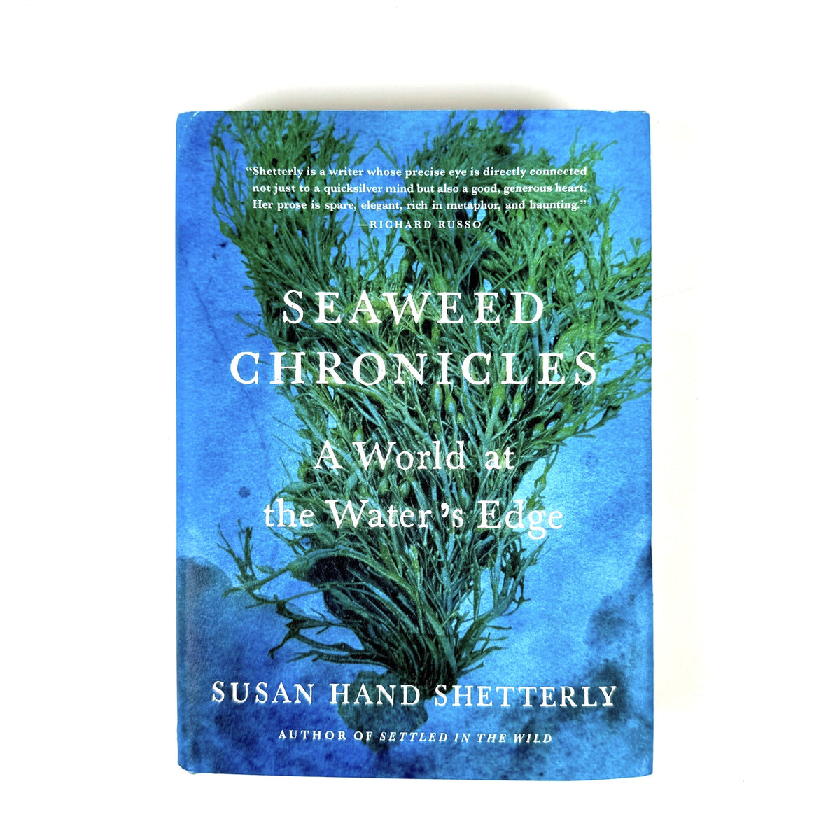 Seaweed Chronicles: A World at Water’s Edge - Image 3