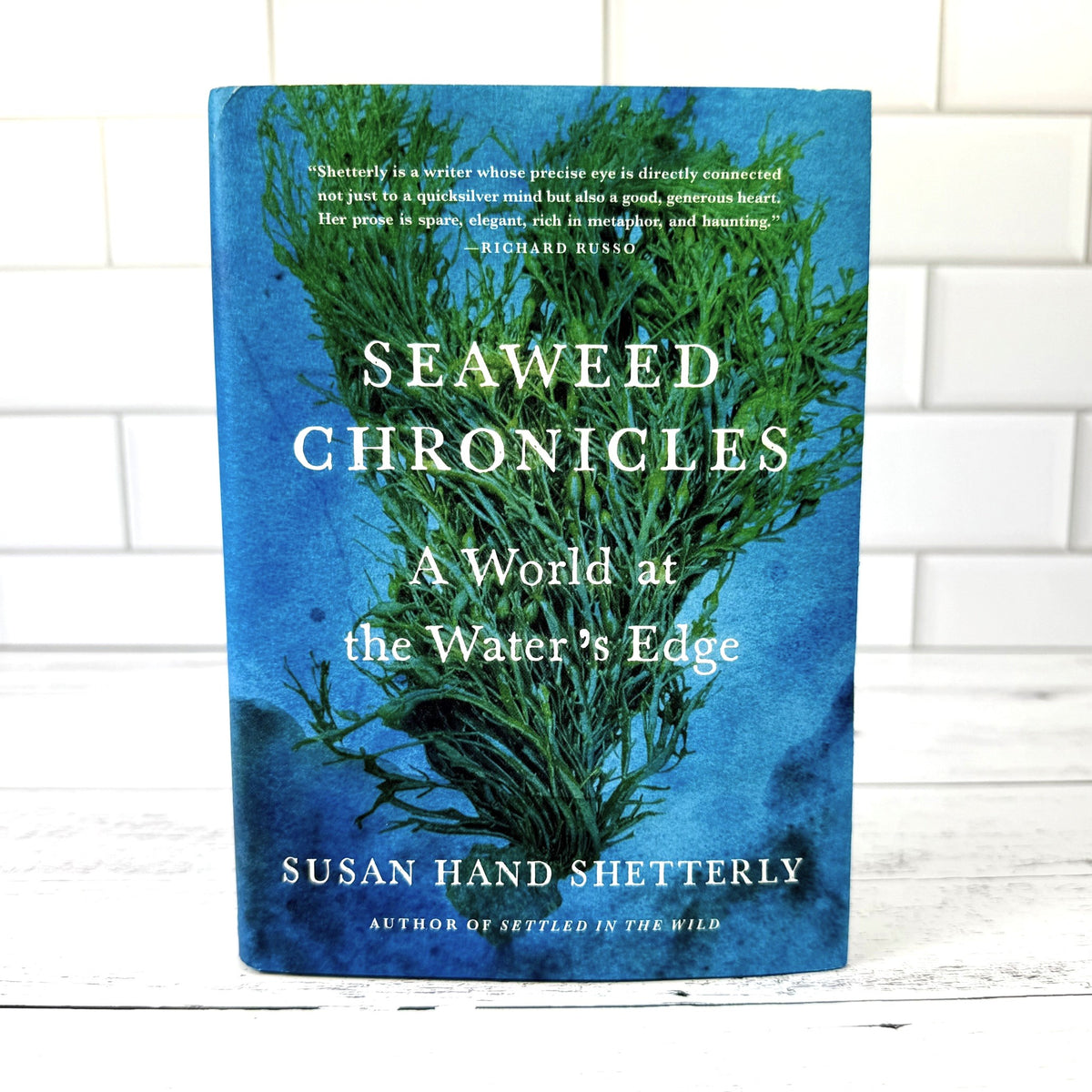 Seaweed Chronicles: A World at Water’s Edge - Image 4