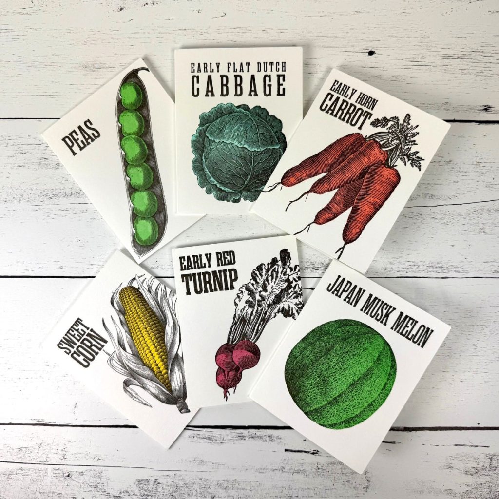 Shaker Seeds – Boxed Set of 6 Notecards