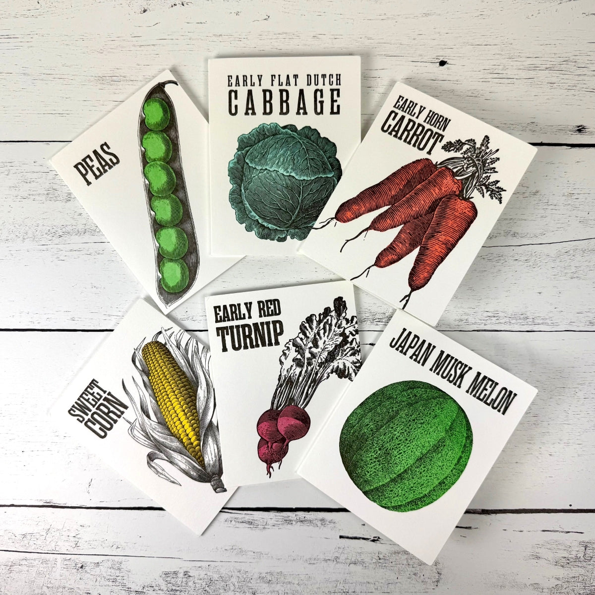 Shaker Seeds – Boxed Set of 6 Notecards