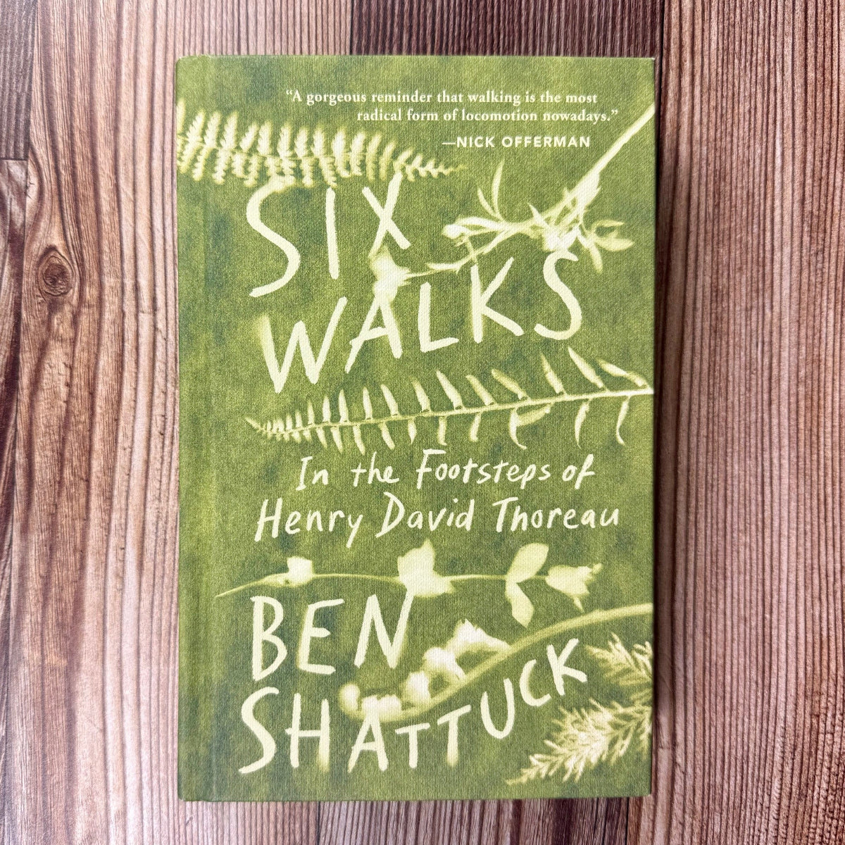 Six Walks: In the Footsteps of Henry David Thoreau