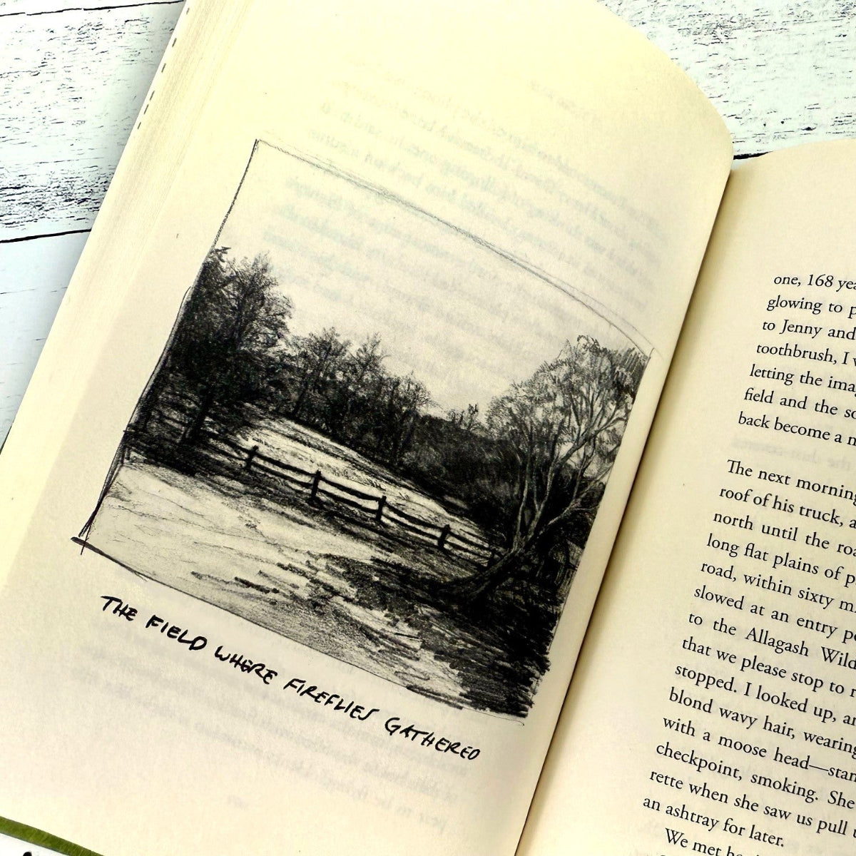 Six Walks: In the Footsteps of Henry David Thoreau - Image 2