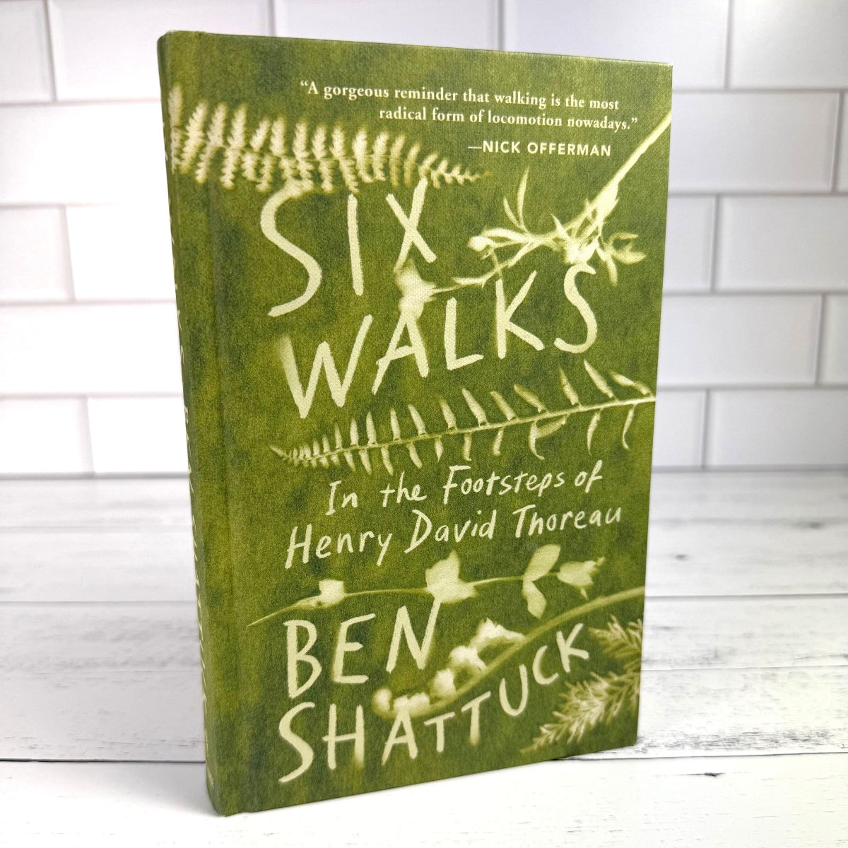 Six Walks: In the Footsteps of Henry David Thoreau - Image 4