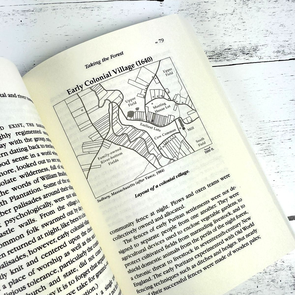Stone by Stone: The Magnificent History in New England’s Stone Walls - Image 2