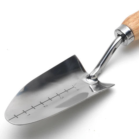 RHS Stainless Transplanter - Image 4