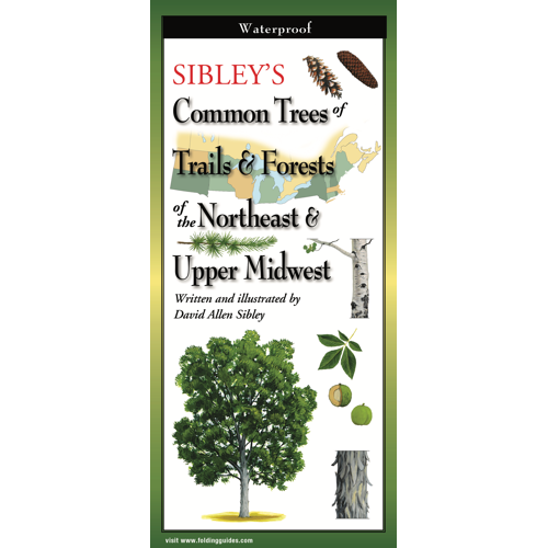 Sibleys Common Trees of Trails & Forests of the Northeast & Upper Midwest, Folding Guide
