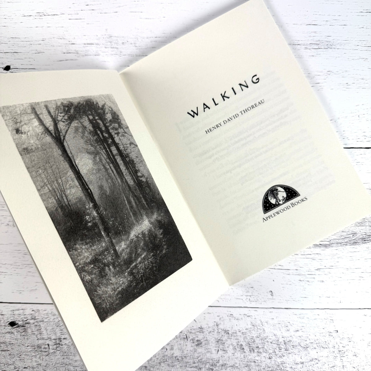 Walking - Image 2