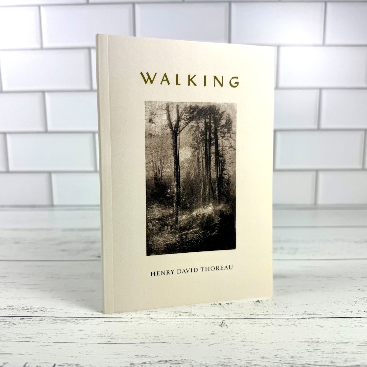 Walking - Image 3