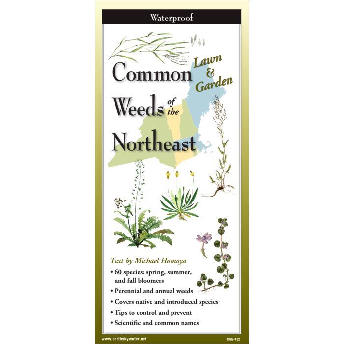 Common Weeds of the Northeast, Folding Guide