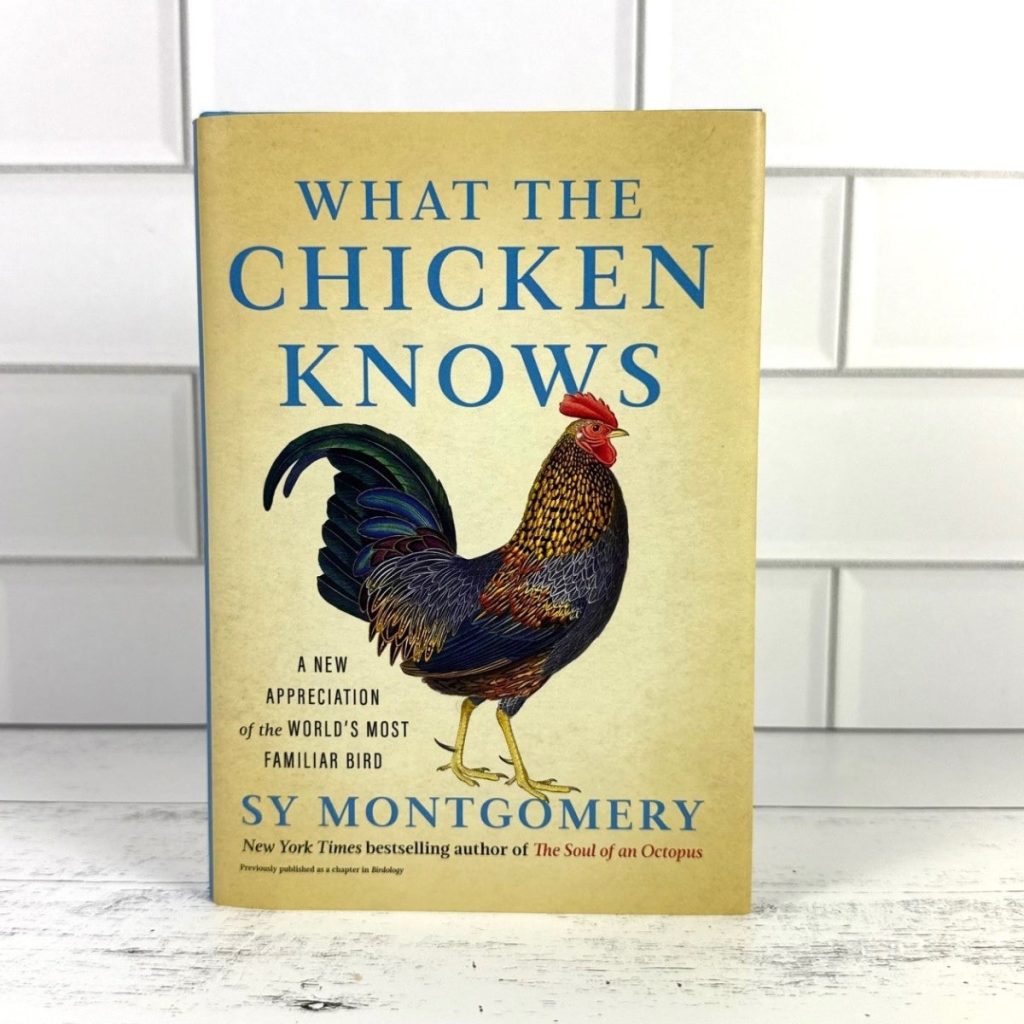 What the Chicken Knows: A New Appreciation of the World’s Most Familiar Bird