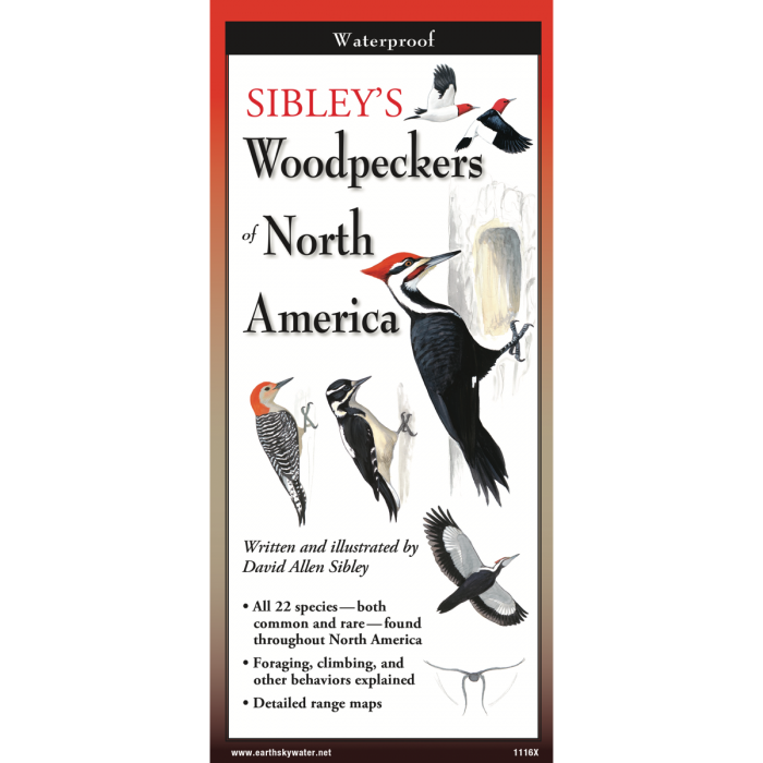 Sibleys Woodpeckers of North America, Folding Guide