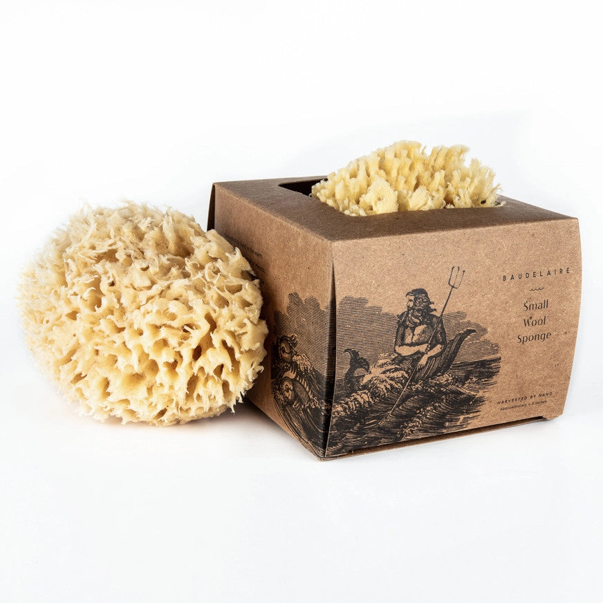 Bath Sea Sponge Gift Box – Small