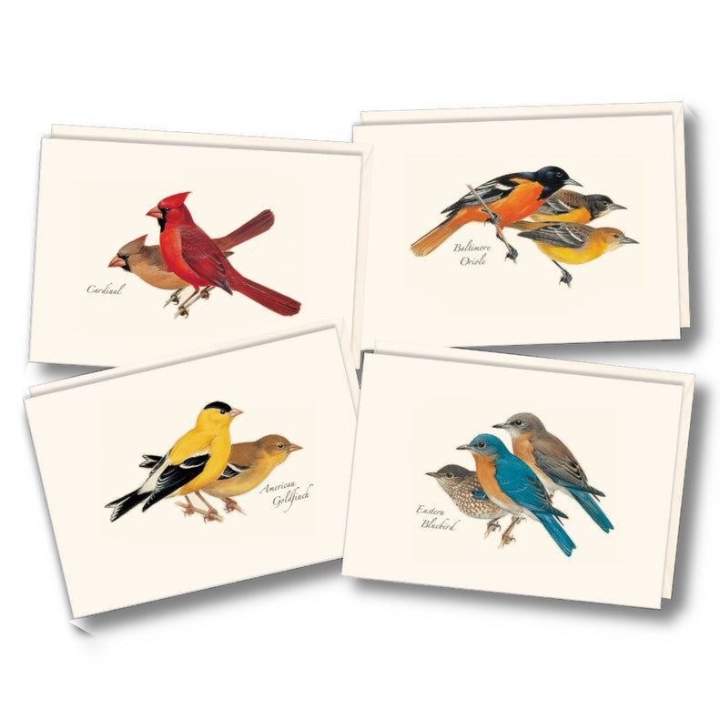 Peterson’s Bird Notecard Assortment