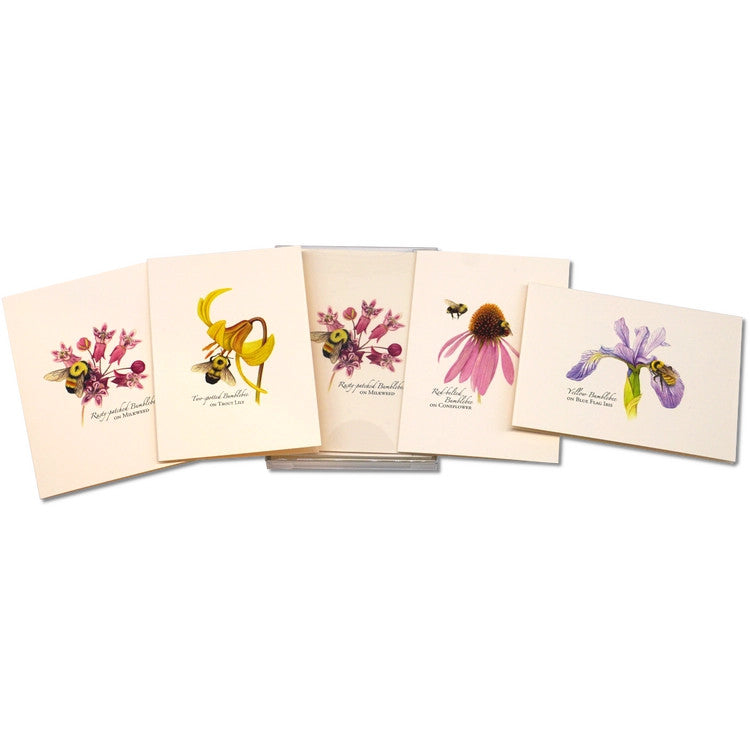 Bumblebee Notecard Assortment - Image 6